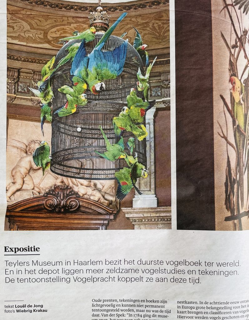 Vogelpracht in Teylers Museum – TROUW