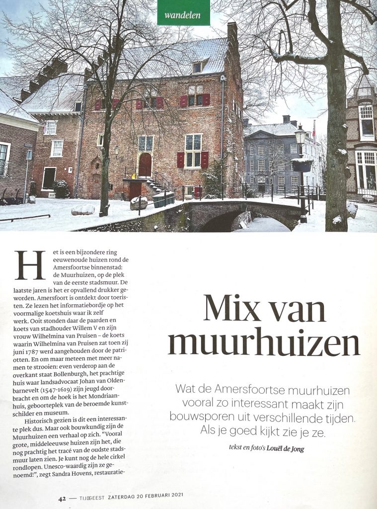 Blikvangers: middeleeuwse muurhuizen