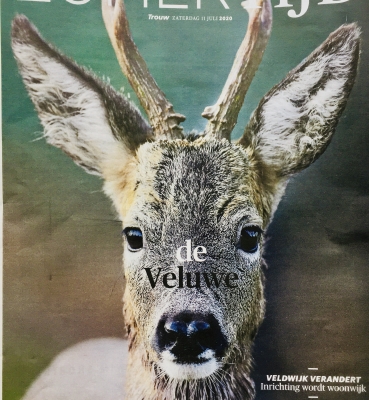 Schrijver A. den Doolaard – Veluwe TROUW