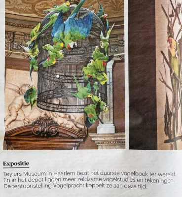 Vogelpracht in Teylers Museum – TROUW