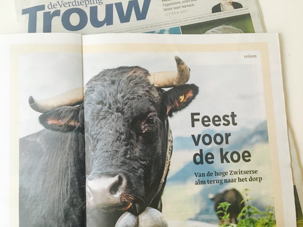 Feest: Zwitserse koeien komen terug